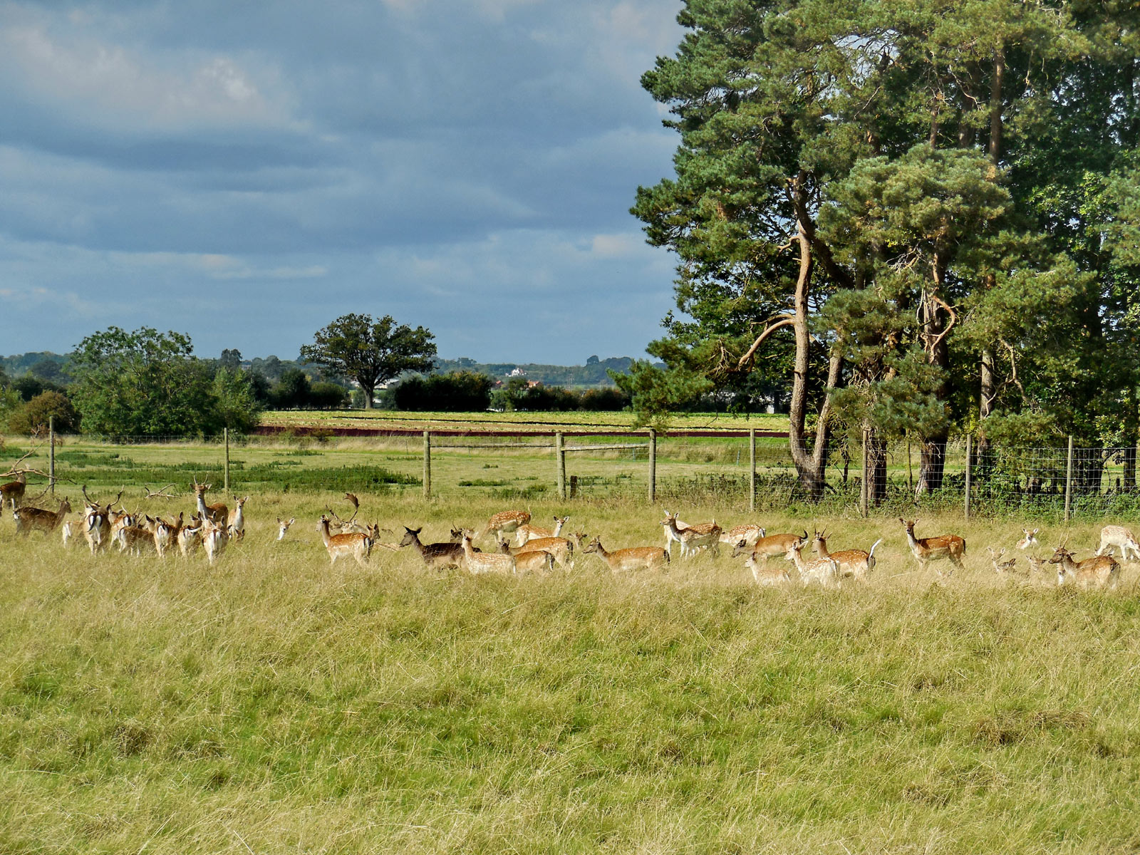 Charlecote Park, Warwickshire